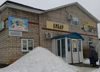 Продается помещение свободного назначения, 337 м2, деревня Хохряки, Тепличная улица, 13