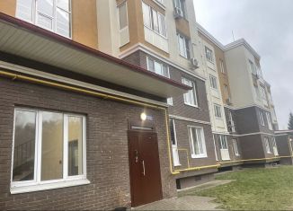 Продам 1-комнатную квартиру, 41.6 м2, село Немчиновка, Ольховая улица, 19