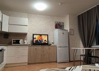 Сдача в аренду квартиры студии, 30 м2, Пермский край, улица Крылова, 17