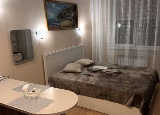 Квартира в аренду студия, 26 м2, Новосибирск, Железнодорожная улица, 15