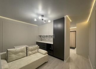 Продается квартира студия, 25 м2, Тюмень, Велижанская улица, 66, ЖК Заречный