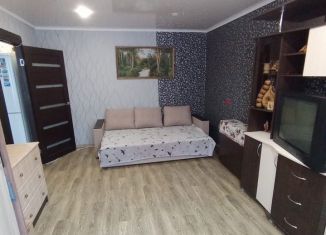 Продается 1-комнатная квартира, 30 м2, Тольятти, Новопромышленная улица, 25, Центральный район