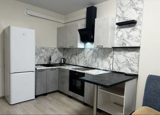 Сдается 2-ком. квартира, 45 м2, Балашиха, Косинское шоссе, 12