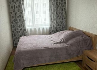 Продажа 2-комнатной квартиры, 44 м2, Абакан, улица Кати Перекрещенко, 13