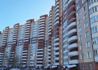 Аренда 1-ком. квартиры, 35 м2, Санкт-Петербург, улица Вавиловых, 7к4