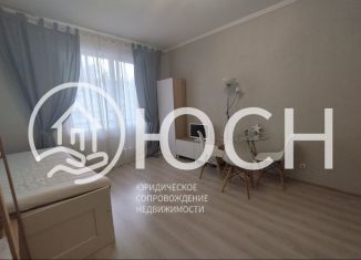 Продаю квартиру студию, 24 м2, городской посёлок Янино-1, Ясная улица, 9к1