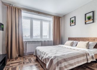 Сдается в аренду квартира студия, 25 м2, Курган, улица Пичугина, 6