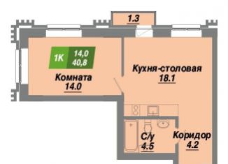 Продажа 1-ком. квартиры, 40.8 м2, Новосибирская область