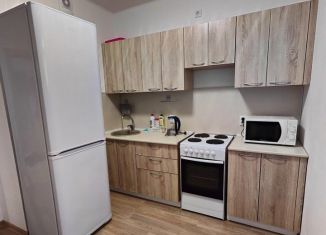Сдается 1-ком. квартира, 35 м2, Екатеринбург, Дорожная улица, 14, ЖК Весна