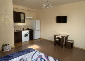 Сдается квартира студия, 30 м2, Сочи, Калужская улица, 19, микрорайон Новый Сочи