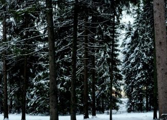 Продается земельный участок, 6.2 сот., деревня Ильино