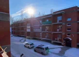 Продам квартиру студию, 28 м2, рабочий поселок Маркова, микрорайон Берёзовый, 246