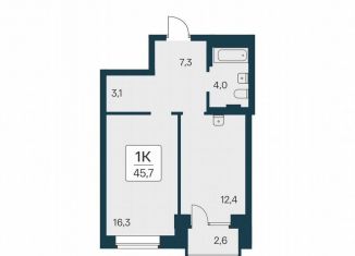 Продам 1-ком. квартиру, 45.7 м2, Новосибирск, метро Сибирская