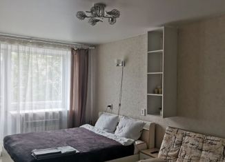 Сдается 1-ком. квартира, 31 м2, Хабаровский край, Пионерская улица, 24