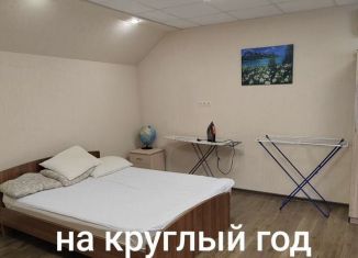 Сдаю в аренду квартиру студию, 40 м2, Геленджик, Садовая улица, 68Б