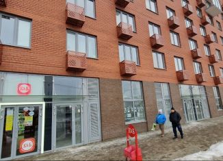 Аренда помещения свободного назначения, 30 м2, посёлок городского типа Томилино, микрорайон Птицефабрика, 35к1