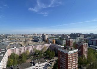 Продается квартира студия, 38.4 м2, Санкт-Петербург, улица Прокофьева, 7к2, муниципальный округ Шувалово-Озерки