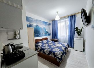 Продам квартиру студию, 17.4 м2, Балашиха, Лесопарковая улица, 17