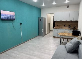 Сдам в аренду квартиру студию, 29 м2, Иркутск, улица Баумана, 269