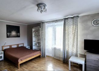 Сдается 1-ком. квартира, 33 м2, Санкт-Петербург, Ланское шоссе, 4