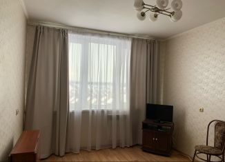 Сдача в аренду 1-ком. квартиры, 30 м2, Колпино, Заводской проспект, 32