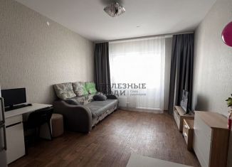 Продажа 2-комнатной квартиры, 36 м2, Красноярск, Ярыгинская набережная, 9