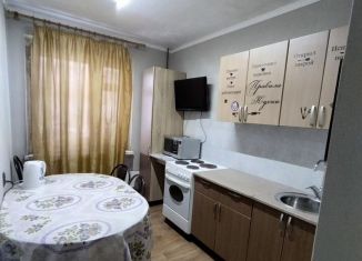 Аренда 3-комнатной квартиры, 65 м2, Красноярский край, улица Первопроходцев, 1