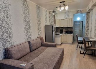 Сдается квартира студия, 30 м2, Краснодарский край, Альпийская улица, 27А