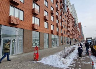 Аренда помещения свободного назначения, 40 м2, посёлок городского типа Томилино, микрорайон Птицефабрика, 35к1