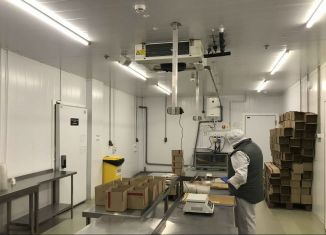 Сдача в аренду производства, 400 м2, Красногорск, Ильинский бульвар, 6