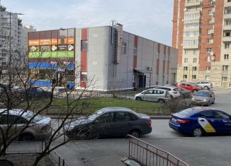 Продается 2-комнатная квартира, 54.4 м2, Санкт-Петербург, муниципальный округ Озеро Долгое, Комендантский проспект, 23к1