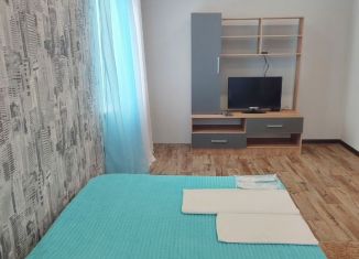 Сдам 1-комнатную квартиру, 31 м2, Рязань, улица Стройкова