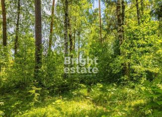 Продается участок, 285 сот., село Петрово-Дальнее, 1-я Мечниковская улица