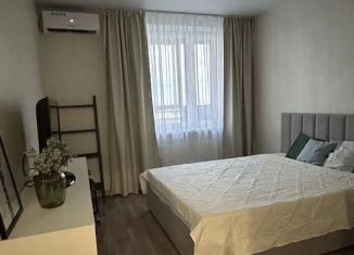 Сдается в аренду 1-ком. квартира, 40 м2, Татарстан, улица Родины, 24В