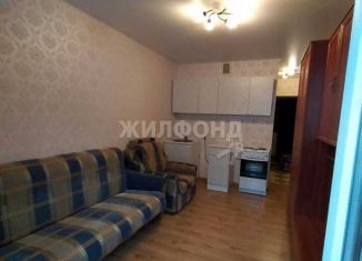 Продаю квартиру студию, 18.8 м2, Новосибирск, Берёзовая улица, 19