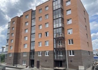 Продажа двухкомнатной квартиры, 53.5 м2, посёлок Солонцы, Новая улица, 1Б