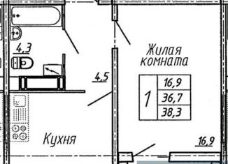 Однокомнатная квартира на продажу, 38.3 м2, Воронеж, улица Пескова, 6, Центральный район