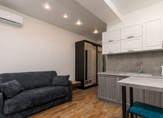 Квартира на продажу студия, 26 м2, посёлок городского типа Сириус, Цветочная улица, 15/21