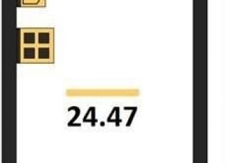 Продаю квартиру студию, 24.5 м2, Воронеж, улица 45-й Стрелковой Дивизии, 259/27, Коминтерновский район