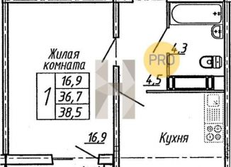 Продаю 1-ком. квартиру, 38.5 м2, Воронеж, улица Пескова, 6, Центральный район