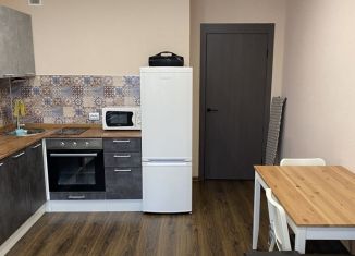 Сдам в аренду квартиру студию, 26 м2, Мурино, улица Шувалова, ЖК Витамин