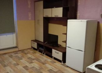 Продается квартира студия, 26 м2, Санкт-Петербург, Русановская улица, 19к2, ЖК Ласточкино Гнездо