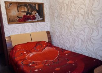 2-комнатная квартира в аренду, 55 м2, Алтайский край, Коммунарский переулок, 27