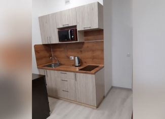 Сдам в аренду квартиру студию, 25 м2, Мурино, Воронцовский бульвар, 22, ЖК Гринландия-2