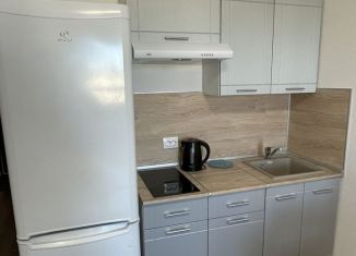 Сдается квартира студия, 24.5 м2, Санкт-Петербург, улица Генерала Кравченко, 8, Красносельский район