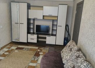 Сдам 2-ком. квартиру, 45 м2, Санкт-Петербург, проспект Космонавтов, 19к3, метро Парк Победы