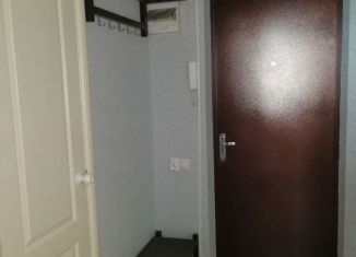 Сдача в аренду однокомнатной квартиры, 36 м2, Ростов-на-Дону, ЖК Платовский, Художественная улица, 5/16