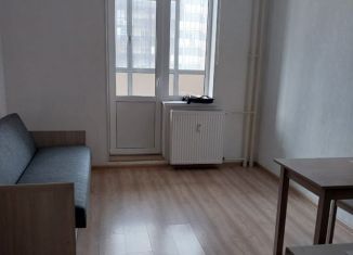 Сдаю в аренду квартиру студию, 21 м2, Мурино, Воронцовский бульвар, 14к1, ЖК Краски Лета