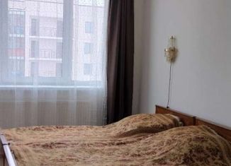 Сдаю 2-комнатную квартиру, 58 м2, поселок Бугры, улица Шекспира, 7