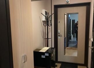 Сдам квартиру студию, 27 м2, Мурино, проспект Авиаторов Балтики, 11/1, ЖК Три кита